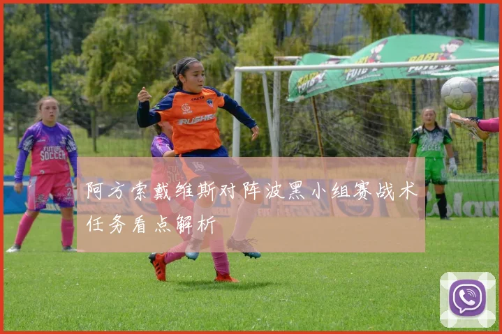 阿方索戴维斯对阵波黑小组赛战术任务看点解析