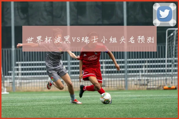 世界杯波黑vs瑞士小组头名预测