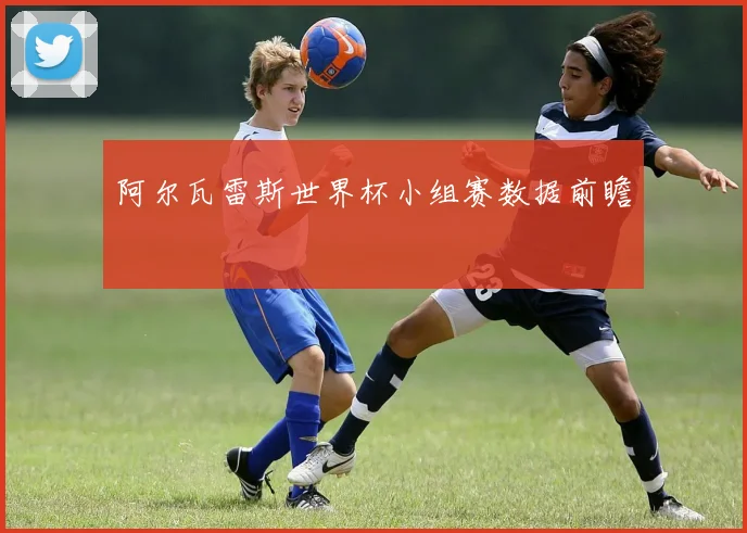 阿尔瓦雷斯世界杯小组赛数据前瞻