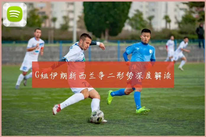 G组伊朗新西兰争二形势深度解读
