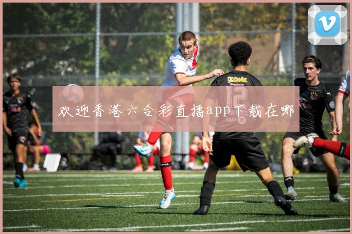 欢迎香港六合彩直播app下载在哪